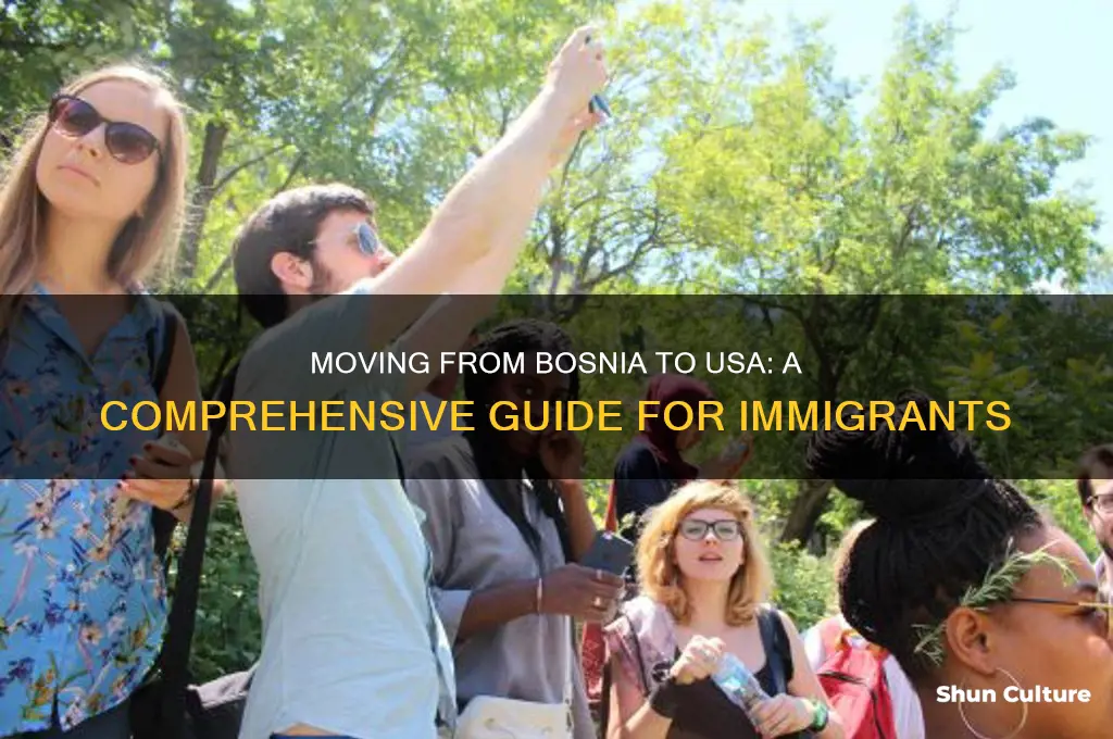 how to move from bosnia to usa