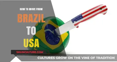 Moving from Brazil to the USA: A Comprehensive Guide