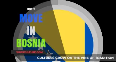 Your Ultimate Guide to Moving and Settling in Bosnia