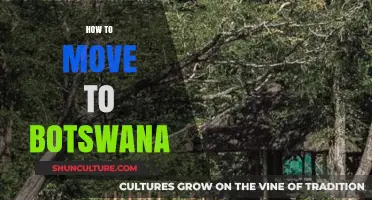 Your Ultimate Guide to Moving and Settling in Botswana