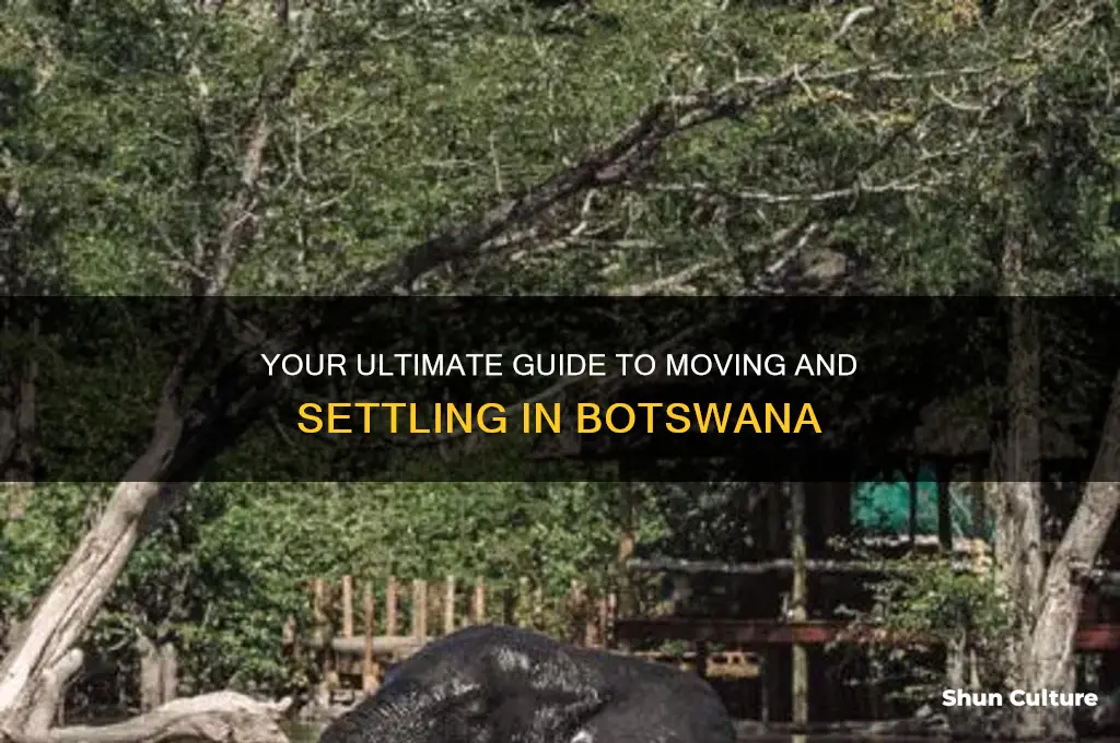 how to move to botswana