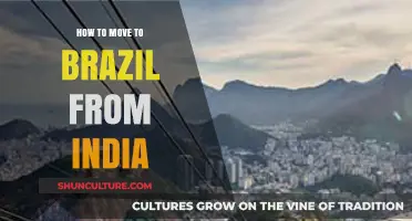 Relocating to Brazil: A Comprehensive Guide for Indians Moving Abroad