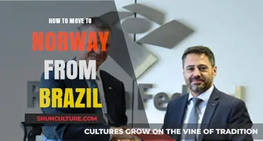 Moving to Norway from Brazil: Your Step-by-Step Relocation Guide