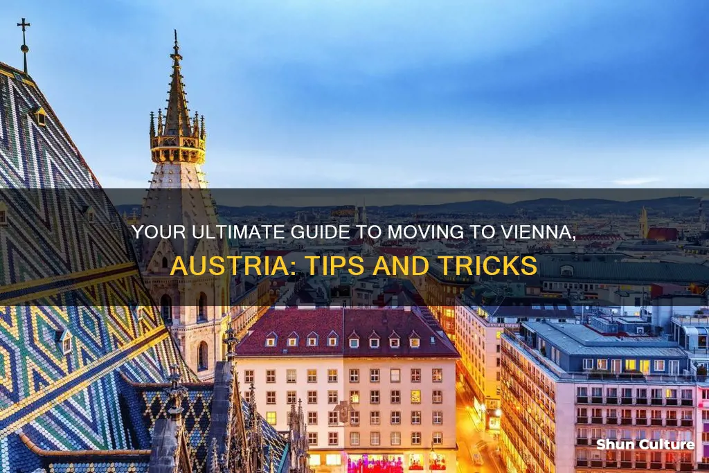 how to move to vienna austria