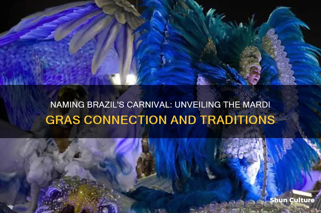 how to name mardi gras in brazil