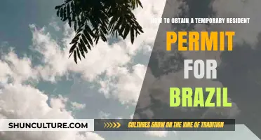 Steps to Secure a Temporary Resident Permit in Brazil