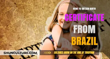 Obtaining Your Brazilian Birth Certificate: A Step-by-Step Guide