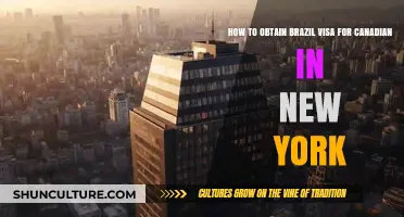 Obtaining a Brazil Visa for Canadians in New York: A Complete Guide
