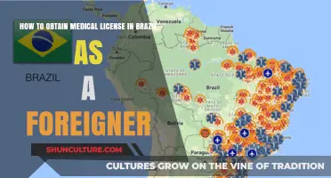 Navigating Brazil's Medical Licensing Process for Foreign Healthcare Professionals