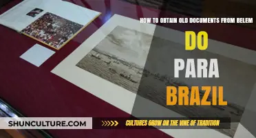 Accessing Historical Records: A Guide to Obtaining Old Documents in Belém, Brazil
