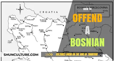 Cultural Missteps: Avoiding Insensitivity When Interacting with Bosnians