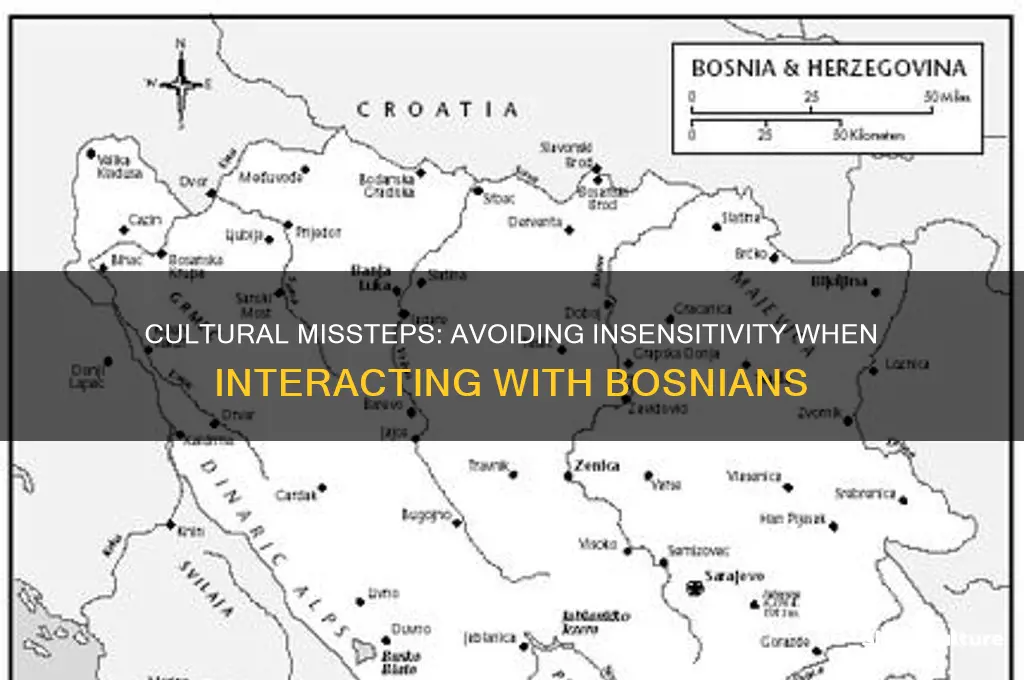 how to offend a bosnian