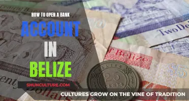 Opening a Bank Account in Belize: A Step-by-Step Guide