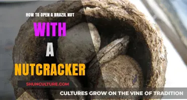 Mastering the Art of Cracking Brazil Nuts with a Nutcracker