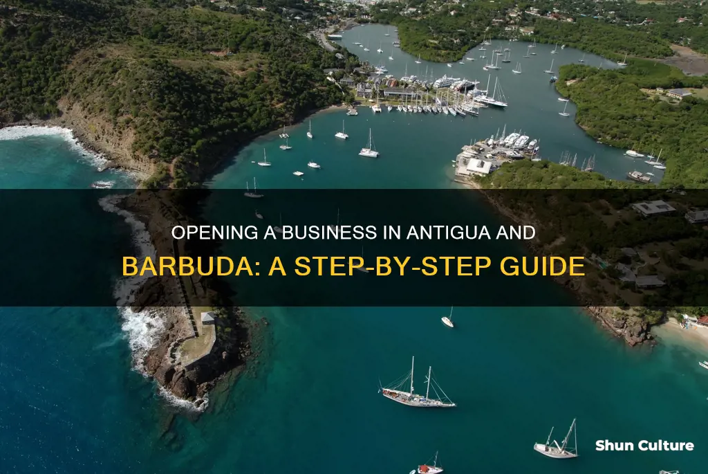 how to open a business in antigua and barbuda