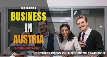 Unleash Your Business Potential: A Guide to Starting Up in Austria