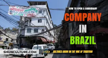 Expanding Your Business: A Guide to Opening a Subsidiary in Brazil