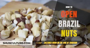 Mastering the Art of Cracking Brazil Nuts: A Simple Guide