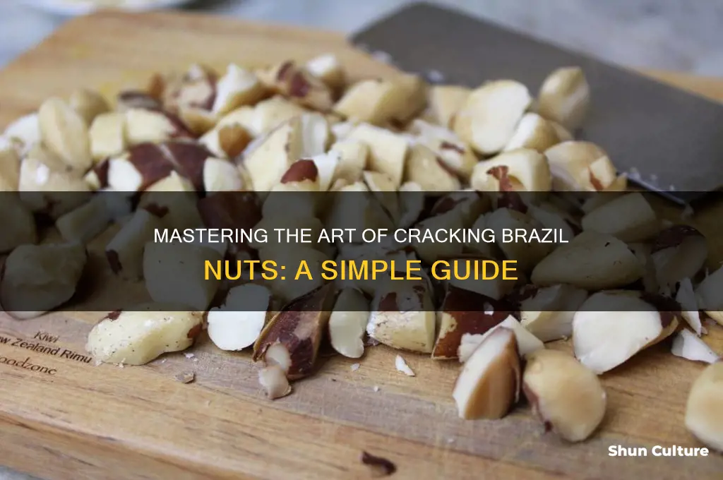 how to open brazil nuts