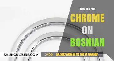 How to Easily Open Google Chrome in Bosnian Language Settings