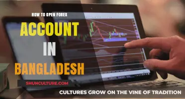 Step-by-Step Guide to Opening a Forex Trading Account in Bangladesh