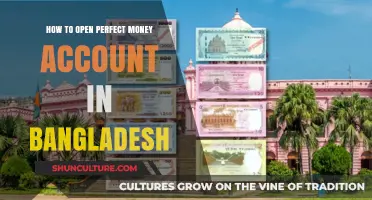 Step-by-Step Guide to Opening a Perfect Money Account in Bangladesh