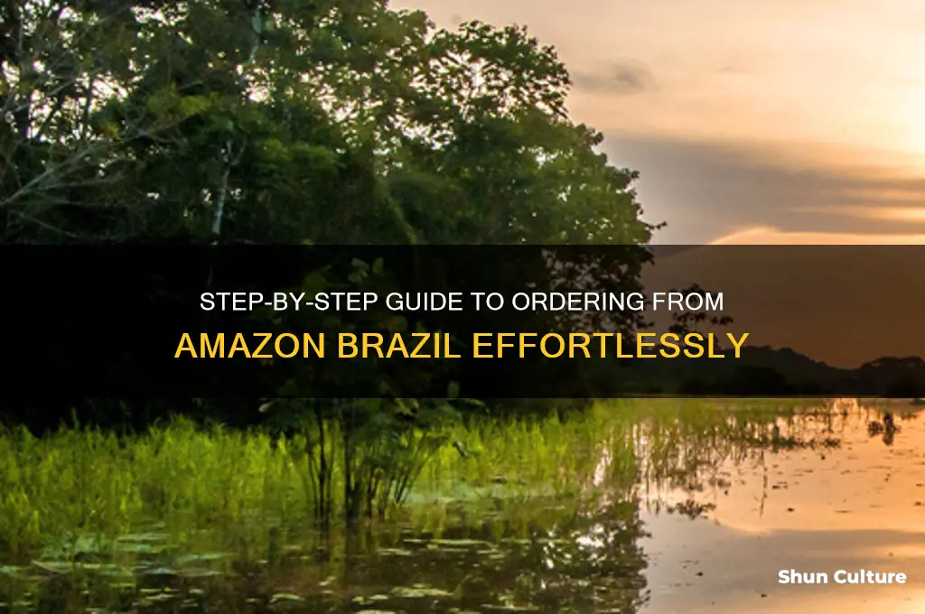 how to order from amazon brazil