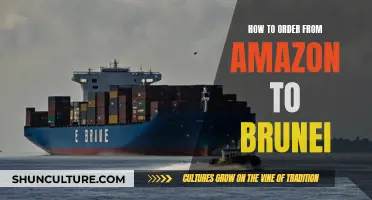 A Guide to Ordering from Amazon: Shipping to Brunei