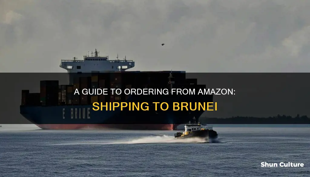 how to order from amazon to brunei