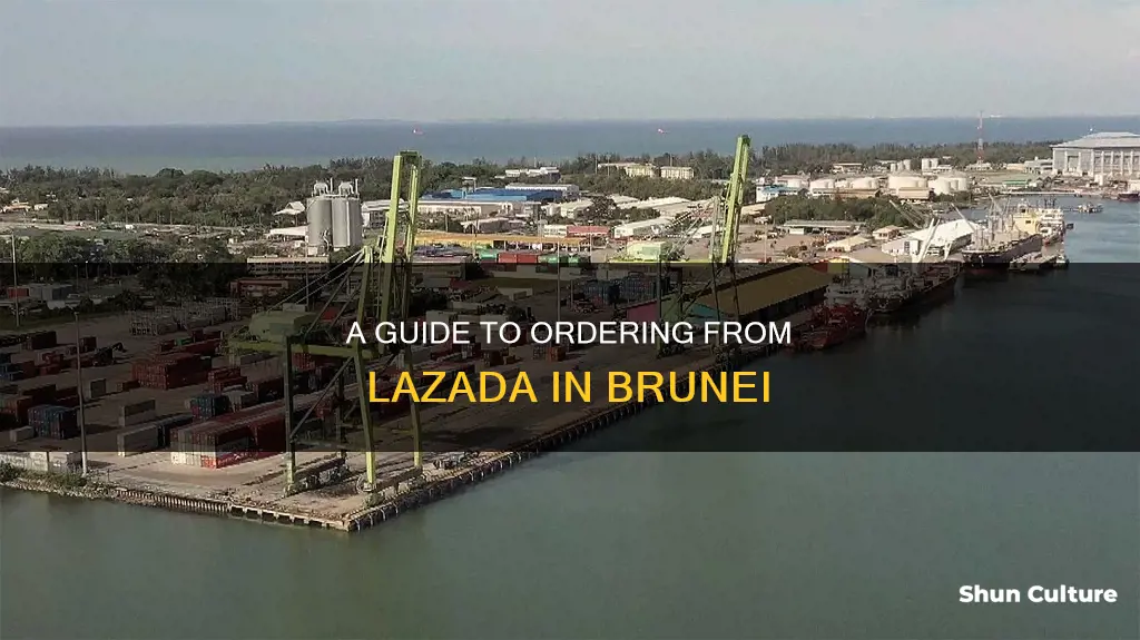 how to order lazada from brunei