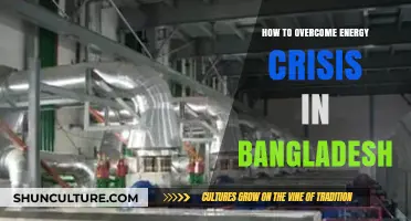 Sustainable Solutions: Overcoming Bangladesh's Energy Crisis with Innovation and Efficiency
