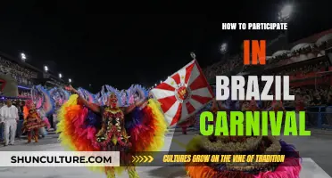 Join the Samba: Your Ultimate Guide to Brazil Carnival Participation
