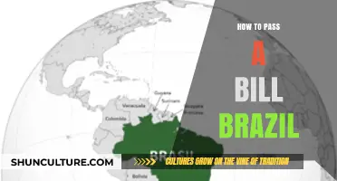 Navigating Brazil's Legislative Process: A Step-by-Step Guide to Passing a Bill
