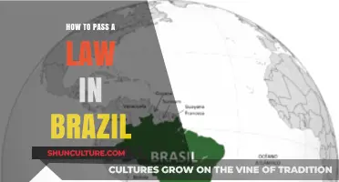 Understanding Brazil's Legislative Process: A Step-by-Step Guide to Passing Laws