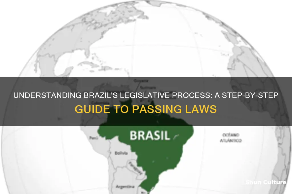 how to pass a law in brazil
