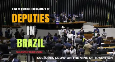 Mastering the Process: Passing Bills in Brazil's Chamber of Deputies