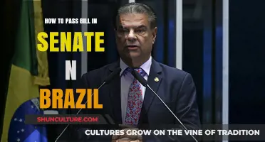 Navigating Brazil's Senate: A Guide to Passing Legislation Successfully
