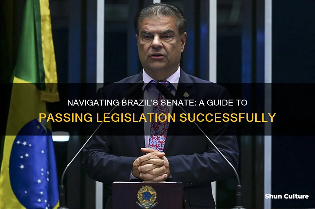 how to pass bill in senate n brazil