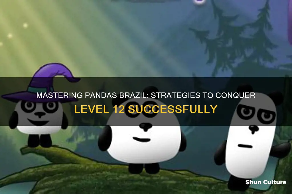 how to pass level 12 in pandas brazil
