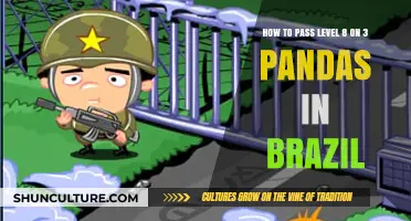 Mastering 3 Pandas in Brazil: Tips to Conquer Level 8