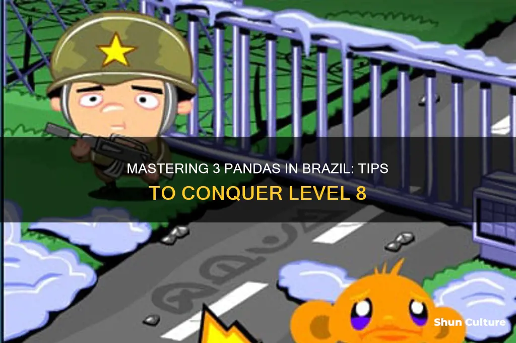 how to pass level 8 on 3 pandas in brazil