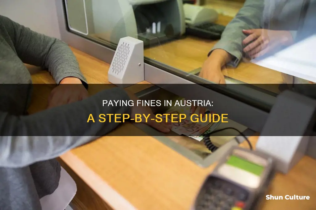 how to pay a fine in austria