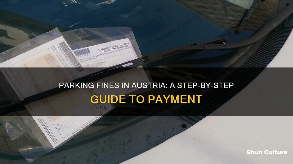 how to pay a parking fine in austria