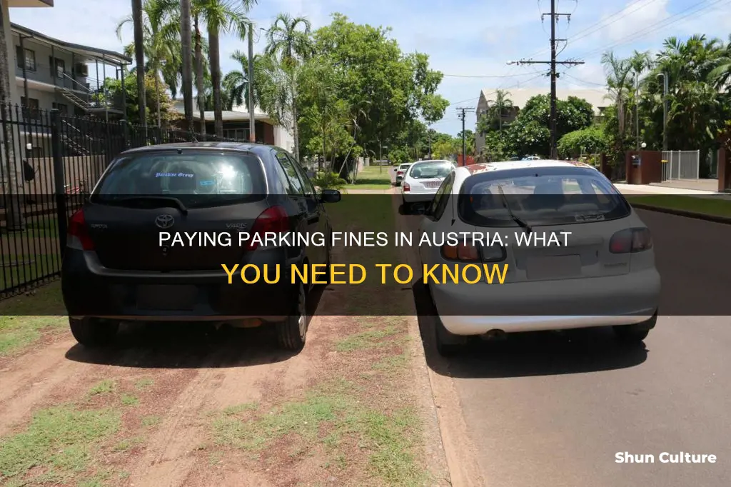 how to pay a parking fine in austria