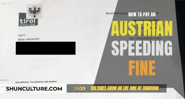 Paying Your Austrian Speeding Ticket: A Step-by-Step Guide