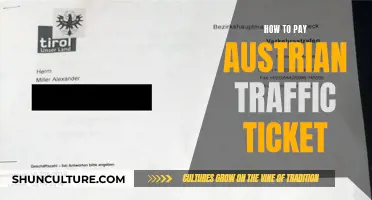 Paying Austrian Traffic Tickets: A Step-by-Step Guide