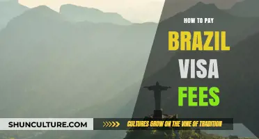 Step-by-Step Guide to Paying Brazil Visa Fees Easily and Securely