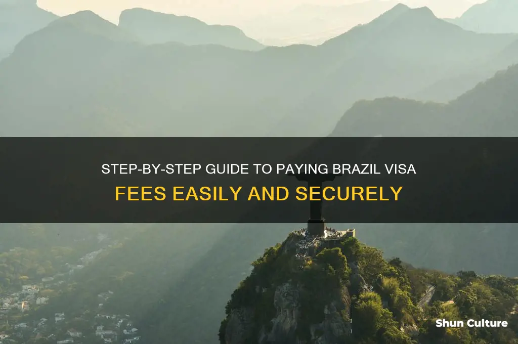 how to pay brazil visa fees