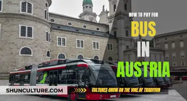 A Comprehensive Guide to Paying for Bus Travel in Austria