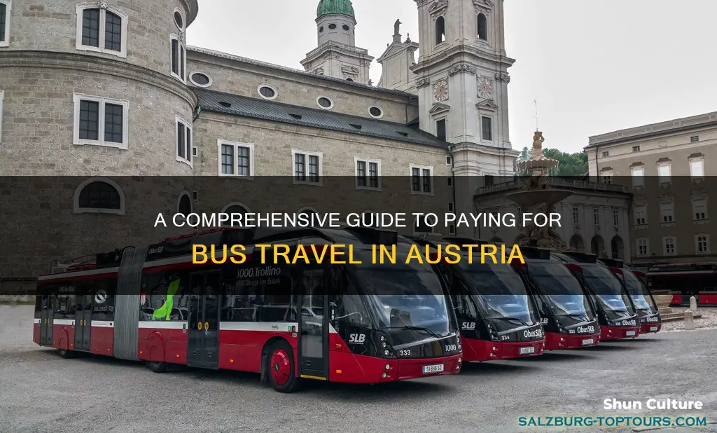 how to pay for bus in austria